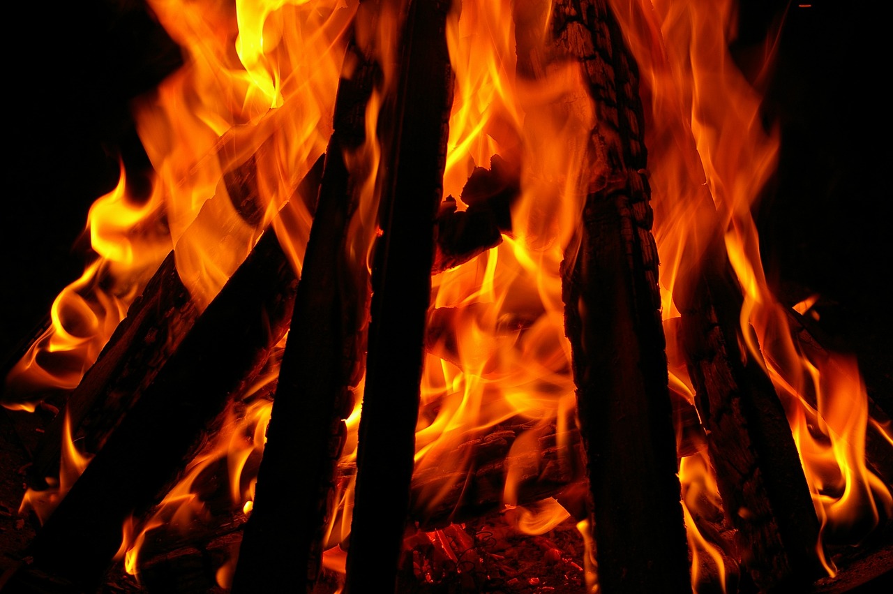 El fuego y la evolución del ser humano a través de la transformación de los alimentos