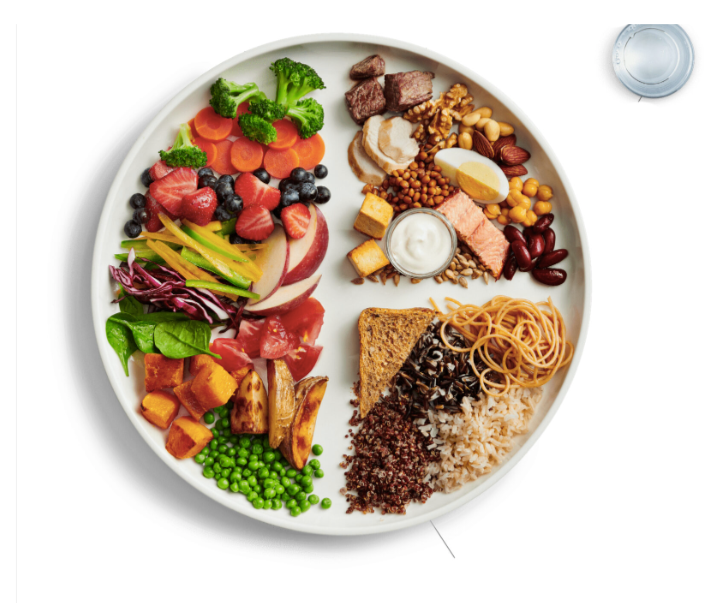 plato saludable de Harvard, modelo de alimentación para perder peso