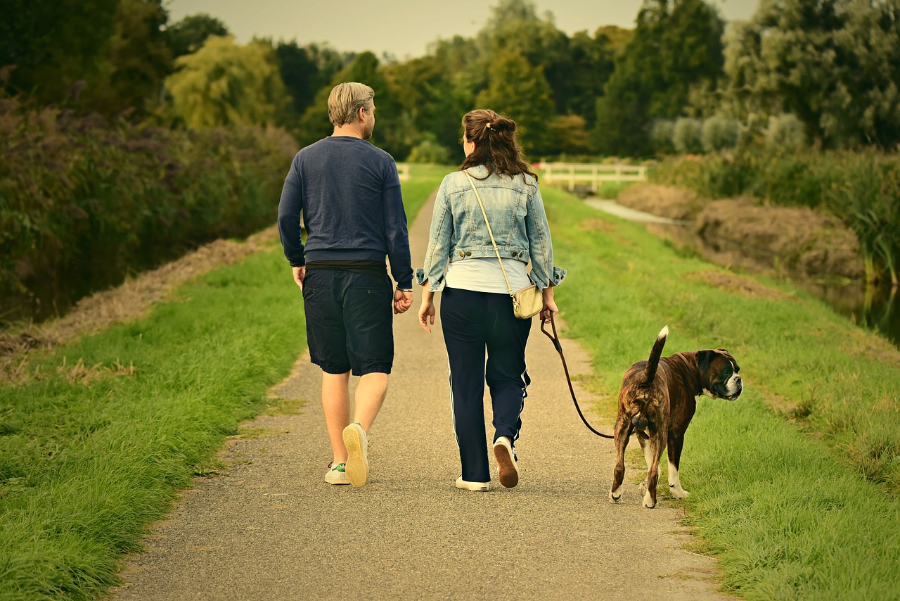 Ideas para motivar a las personas a adoptar unos hábitos saludables en Dieta, Ejercicio y Bienestar emocional