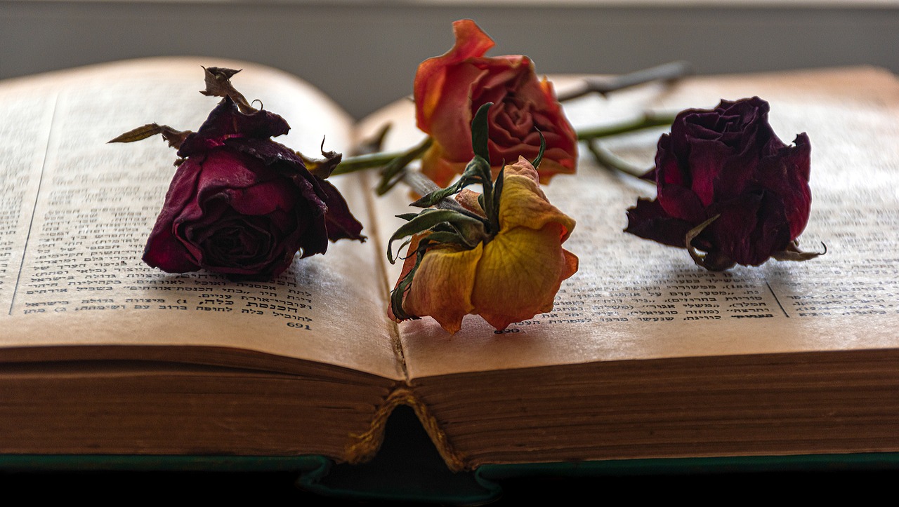 Los libros nutren nuestra mente y cuerpo